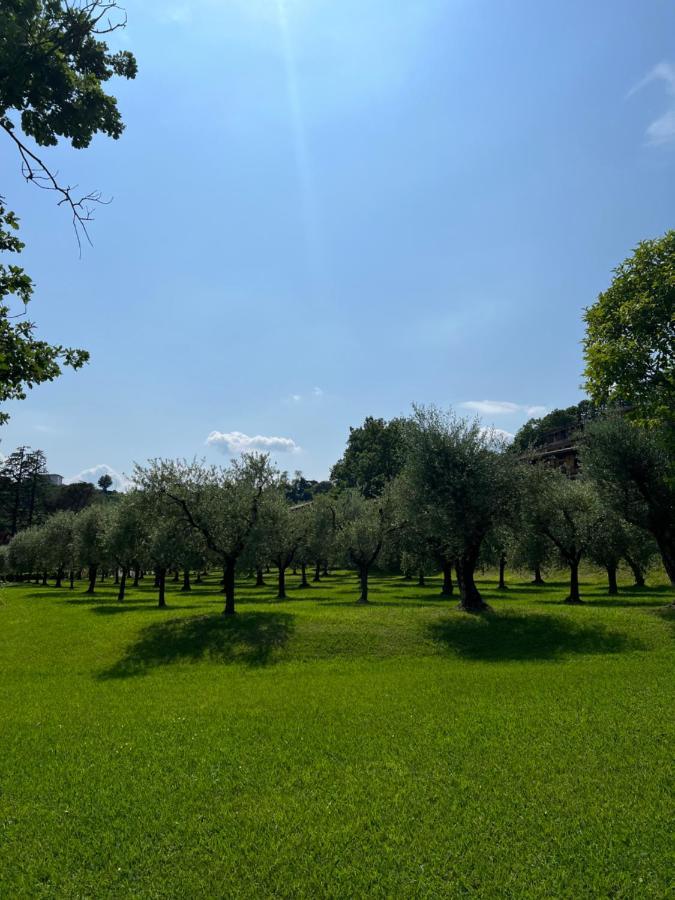 Homely Manerba Manerba del Garda Dış mekan fotoğraf